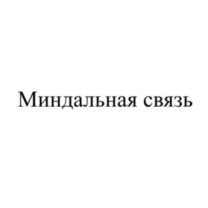изображение из решения