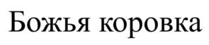 изображение из решения