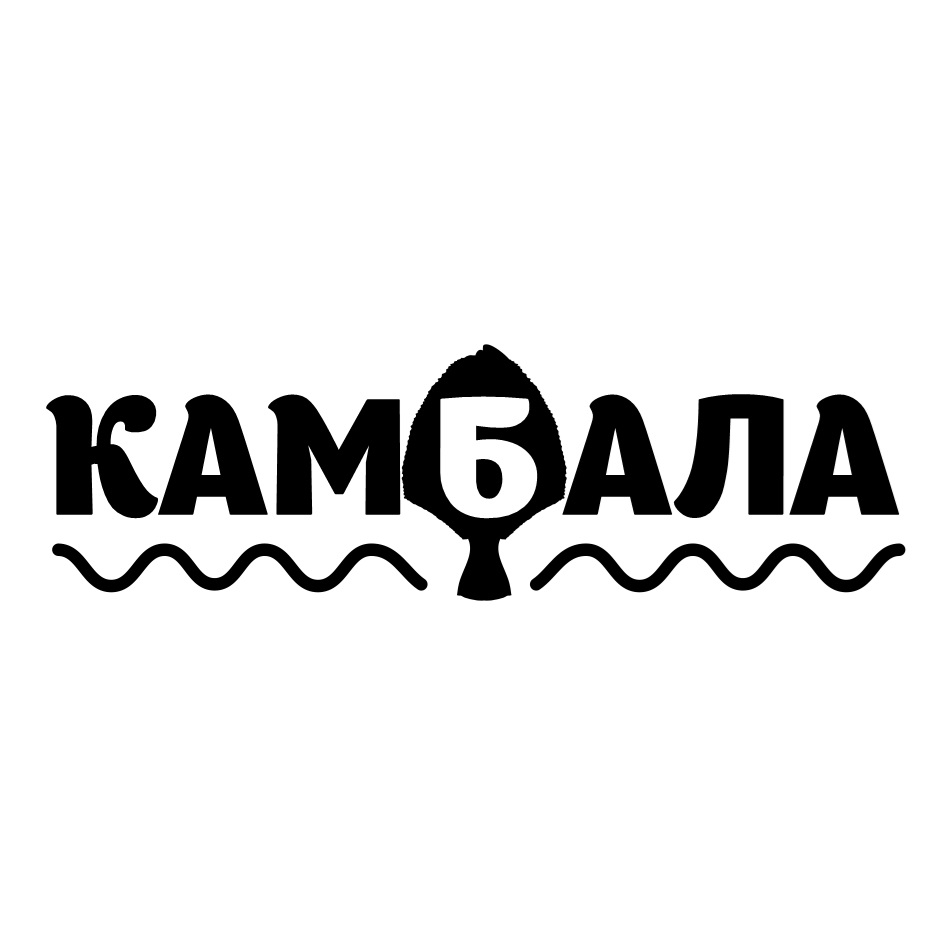 изображение из решения