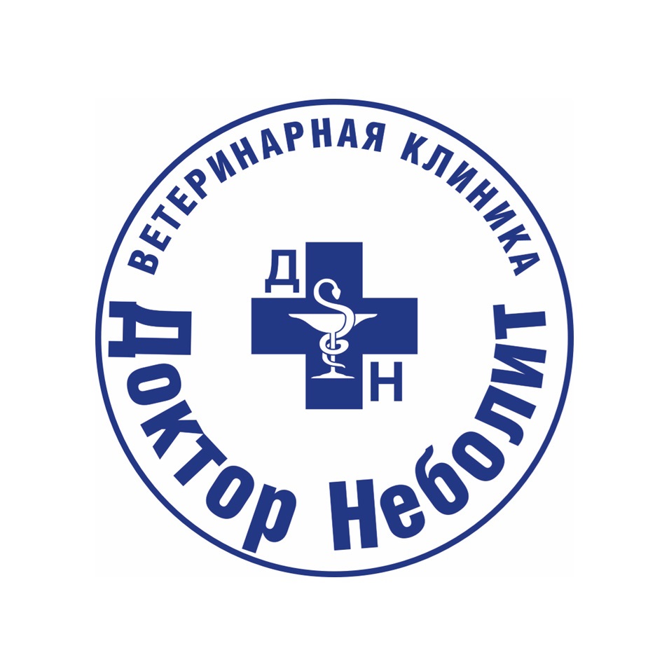 изображение из решения