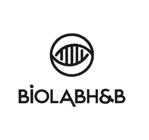 изображение из решения