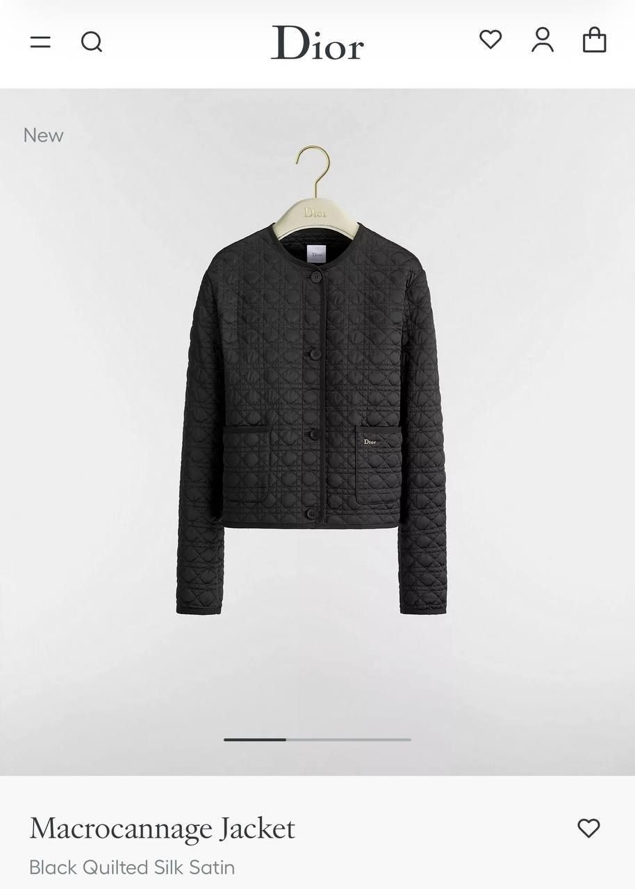 Верхняя одежда Dior — модель 2091