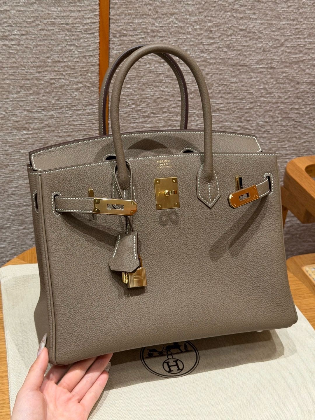 Сумки Hermes — модель 495