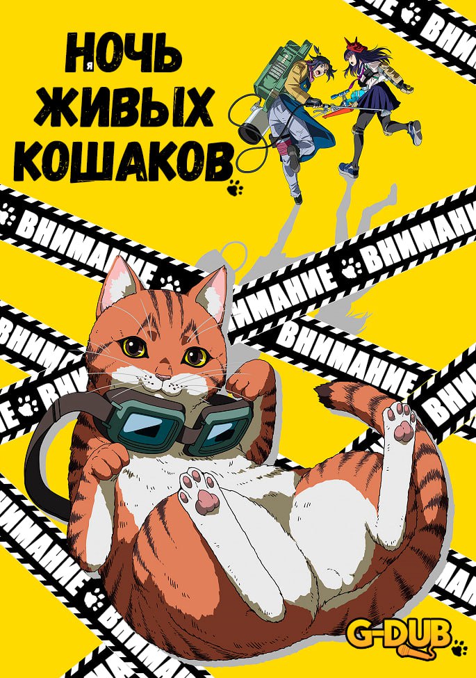 Няочь живых кошаков