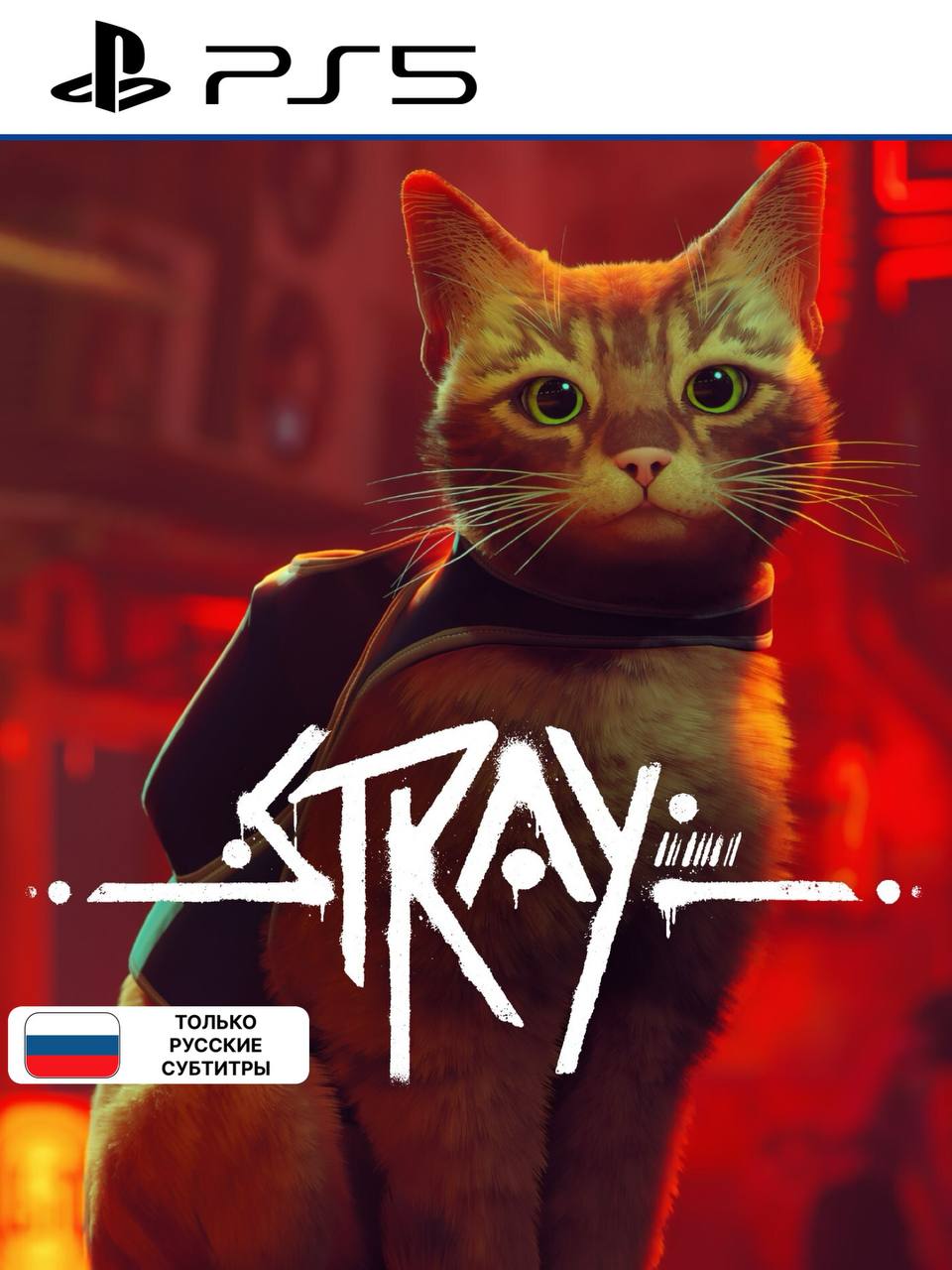 Фон карточки