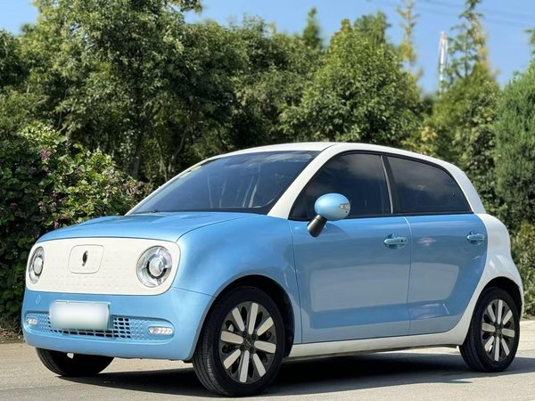 Euler Black Cat 2021 Модель 351 км стандартного типа