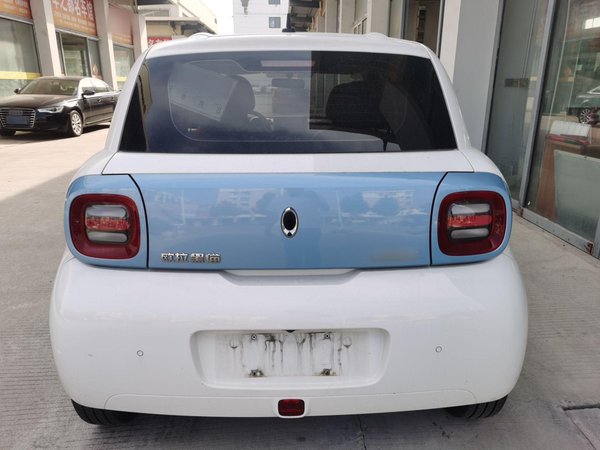 Euler Black Cat 2020, 88200 км, за 27399 CNY - фото 6