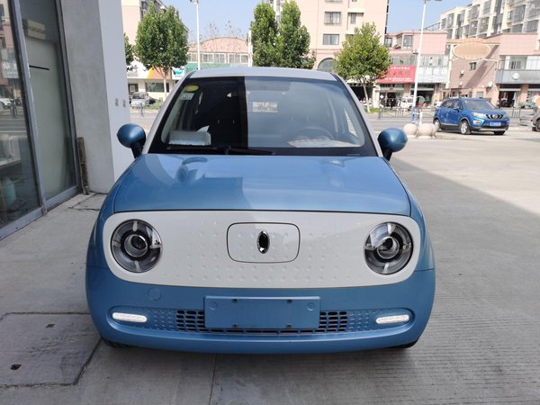 Euler Black Cat 2021 Модель 351 км стандартного типа, 2020 года