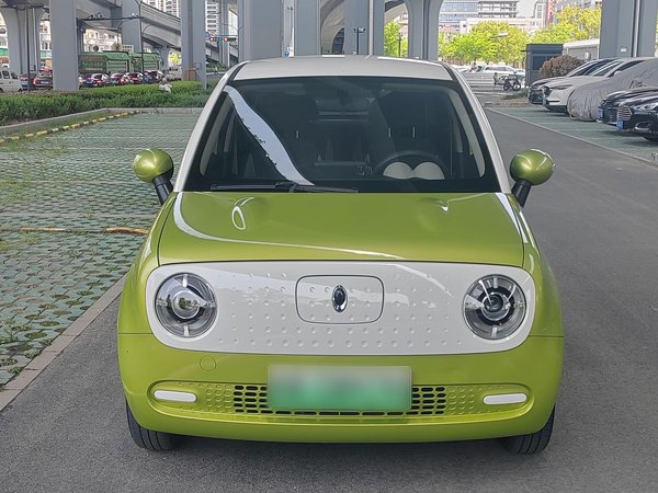 Euler Black Cat 2020, 65900 км, за 31000 CNY