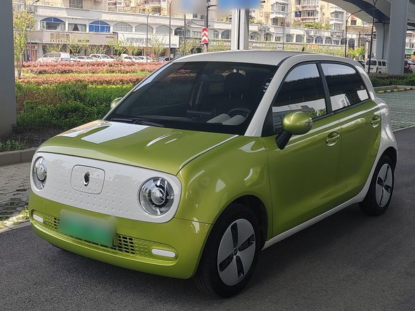 Euler Black Cat 2021 Модель 301 км Базовый тип, 2020 года