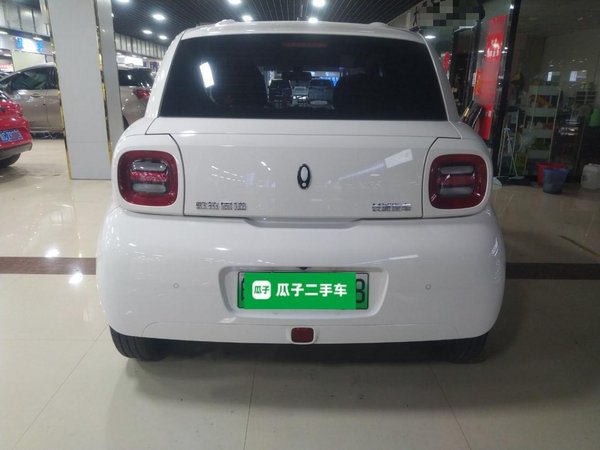 Euler Black Cat 2022, 31100 км, за 32500 CNY - фото 6