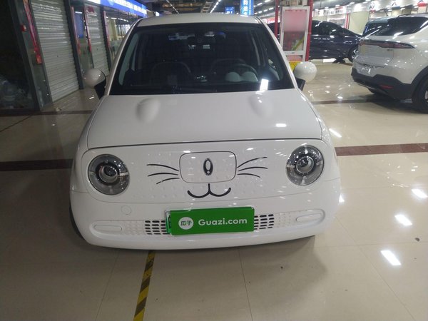 Euler Black Cat 2022 Модель 301 км Симпатичный литий-железо-фосфатный, 2022 года