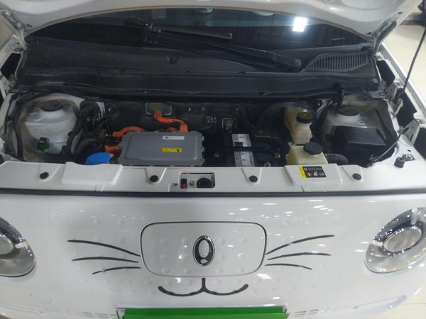 Euler Black Cat 2022, 31100 км, за 32500 CNY - фото 29