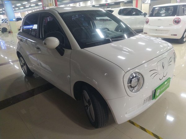 Euler Black Cat 2022, 31100 км, за 32500 CNY