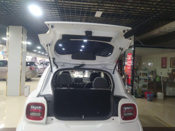 Euler Black Cat 2022, 31100 км, за 32500 CNY - фото 23