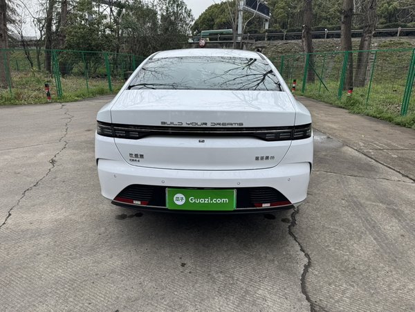 BYD Destroyer 05 2024, 100 км, за 86300 CNY - фото 6