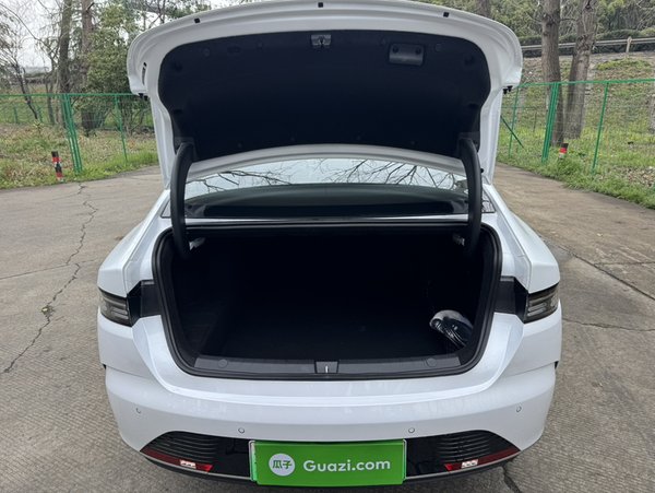 BYD Destroyer 05 2024, 100 км, за 86300 CNY - фото 16