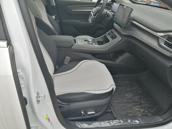 BYD Destroyer 05 2024, 100 км, за 86300 CNY - фото 15