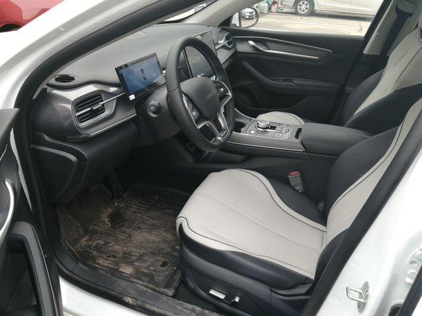 BYD Destroyer 05 2024, 100 км, за 86300 CNY - фото 21