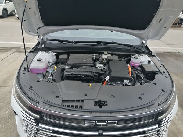 BYD Destroyer 05 2024, 100 км, за 86300 CNY - фото 14