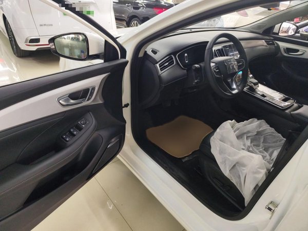 Feifan ER6 2021, 100 км, за 78600 CNY - фото 20