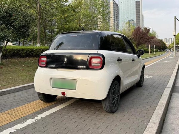 Euler Black Cat 2021, 27100 км, за 36400 CNY - фото 6