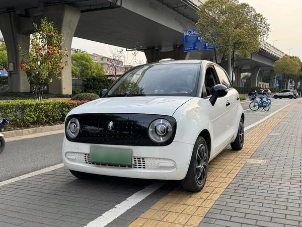 Euler Black Cat 2021, 27100 км, за 36400 CNY - фото 7