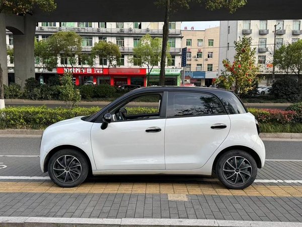 Euler Black Cat 2021, 27100 км, за 36400 CNY