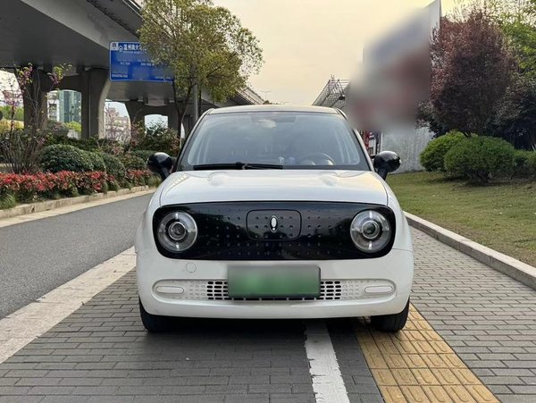 Euler Black Cat 2022 модель 301 км базовая тройная литиевая батарея, 2021 года