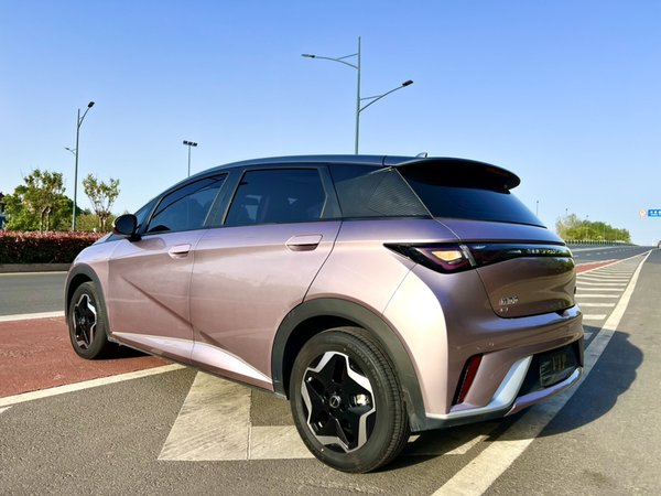 BYD Dolphin 2021, 59800 км, за 54000 CNY - фото 6