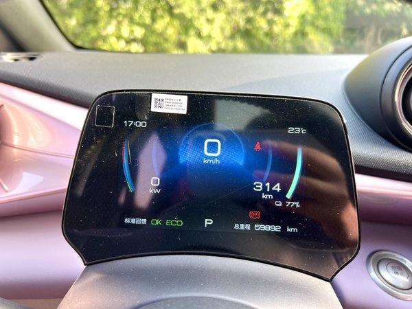 BYD Dolphin 2021, 59800 км, за 54000 CNY - фото 8