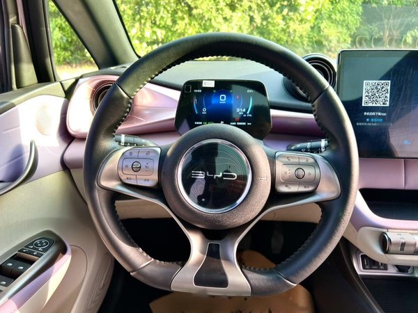 BYD Dolphin 2021, 59800 км, за 54000 CNY - фото 14