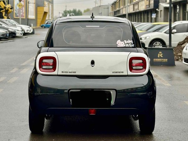 Euler Black Cat 2020, 73200 км, за 32300 CNY