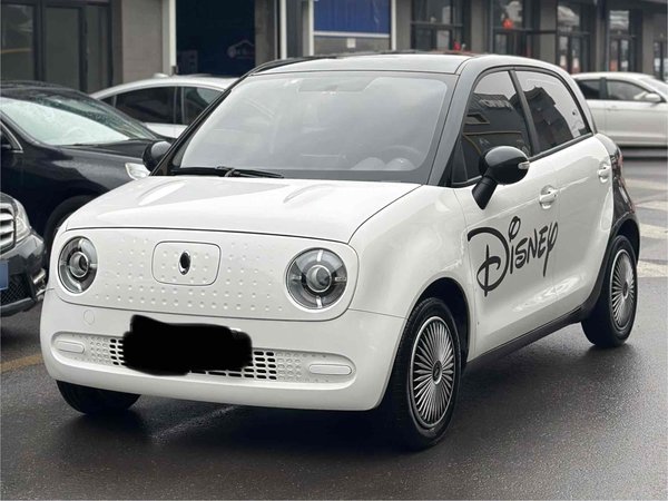 Euler Black Cat 2021 Модель 301 км Базовый тип