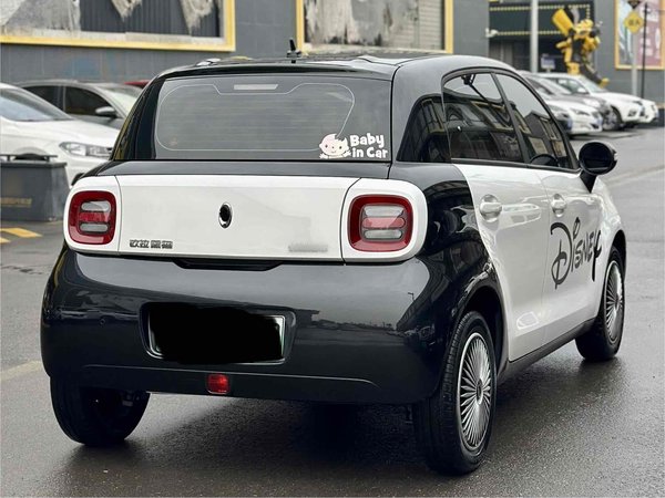 Euler Black Cat 2020, 73200 км, за 32300 CNY - фото 6