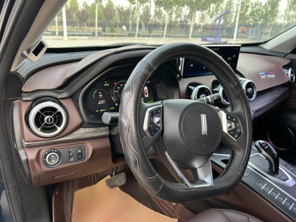 Wey VV7 2019, 62200 км, за 83100 CNY - фото 16