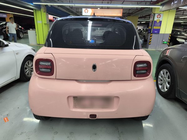 Euler Black Cat 2020, 63000 км, за 29500 CNY - фото 6