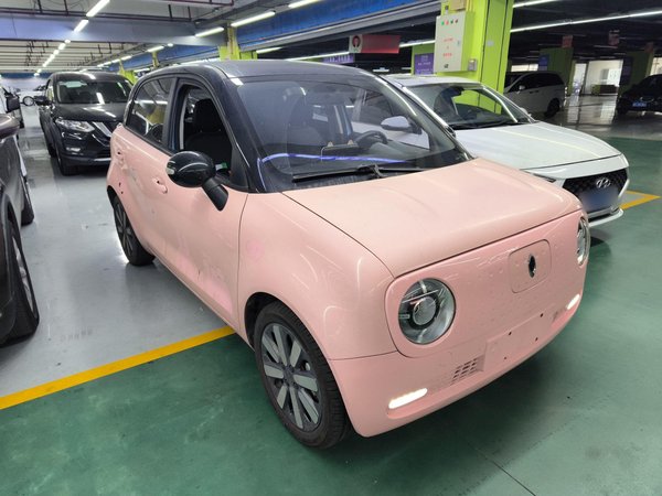 Euler Black Cat 2020, 63000 км, за 29500 CNY