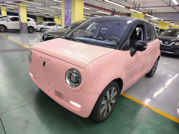 Euler Black Cat 2021 Модель 351 км стандартного типа