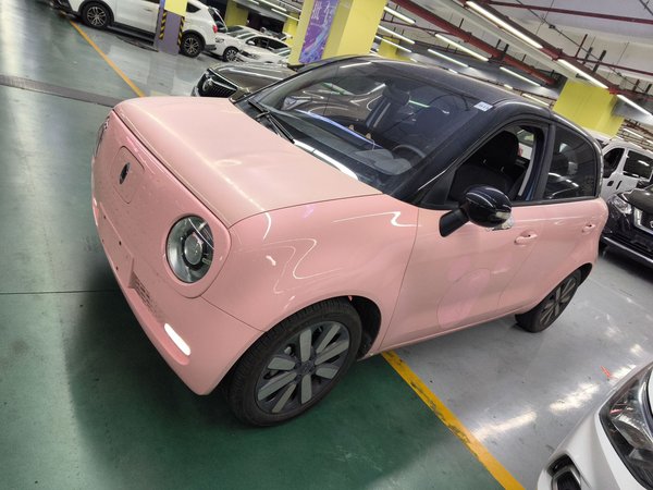 Euler Black Cat 2020, 63000 км, за 29500 CNY