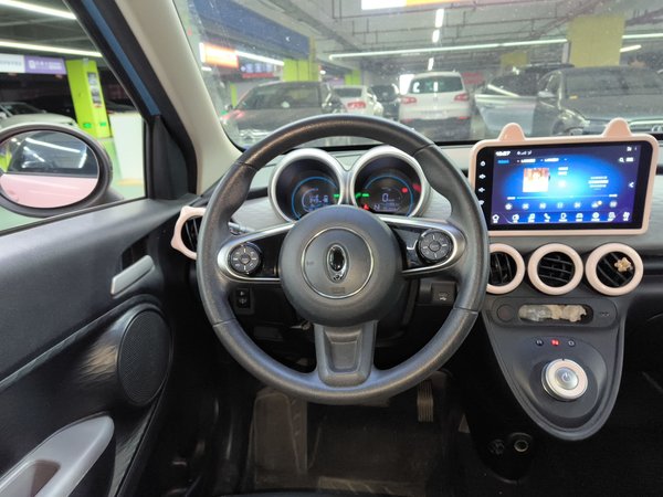 Euler Black Cat 2020, 63000 км, за 29500 CNY - фото 15