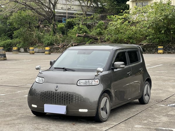 Euler White Cat 2020 360 км класса люкс