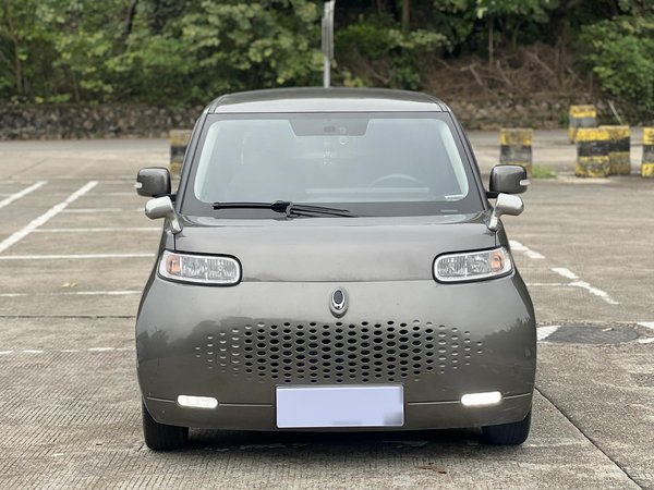 Euler White Cat 2020 360 км класса люкс, 