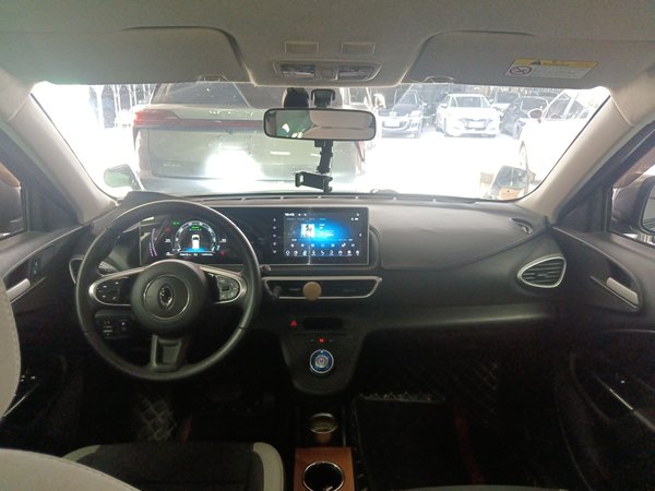 Euler White Cat, 76200 км, за 33500 CNY - фото 14