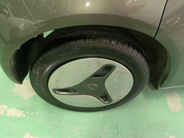 Euler White Cat, 76200 км, за 33500 CNY - фото 11