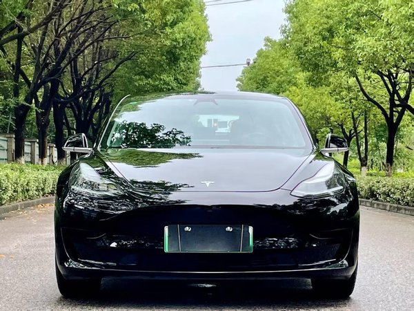 Рестайлинг Tesla Model 3 2020 стандартный срок службы батареи модернизированная версия с задним приводом, 2020 года