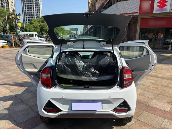 Jiangling Little Kirin 2023, 100 км, за 29700 CNY - фото 20