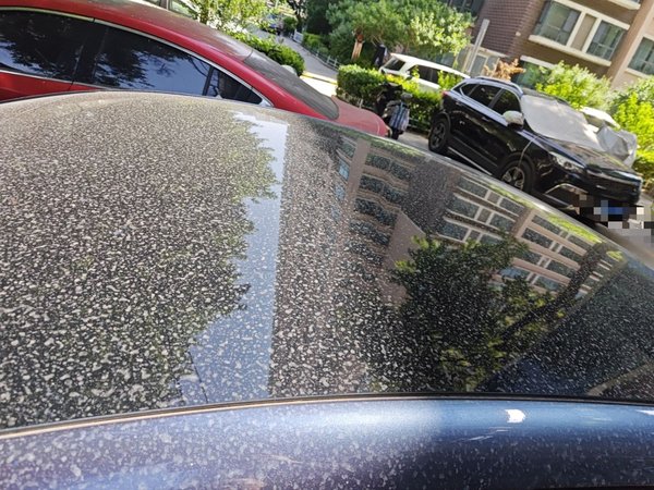 BYD Seal 2022, 25000 км, за 99400 CNY - фото 12