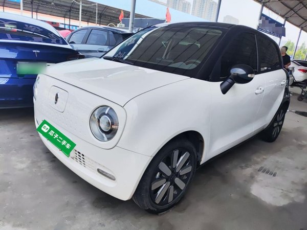 Euler Black Cat 2021 Модель 351 км стандартного типа