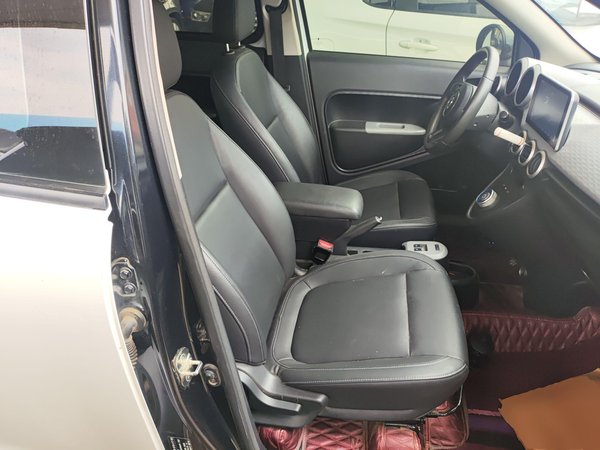 Euler Black Cat 2020, 45700 км, за 34299 CNY - фото 24